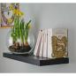 Preview: Buchstütze Bücherhalter Design Ständer Bücherregal HUND Kinergarten Bookends für Zuhause Stütze Büro Kinder DOG Geschenk GOLD / YORK COCO
