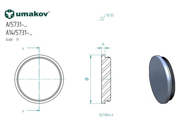 Rohrstopfen Rohrkappe Endkappe Abschlussdeckel Geländer 42,4mm Edelstahl